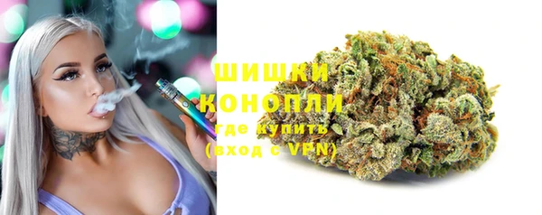 ГАЛЛЮЦИНОГЕННЫЕ ГРИБЫ Каменка