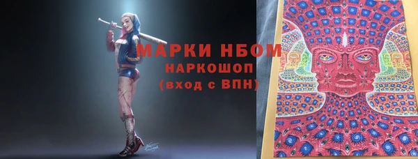 ГАЛЛЮЦИНОГЕННЫЕ ГРИБЫ Каменка