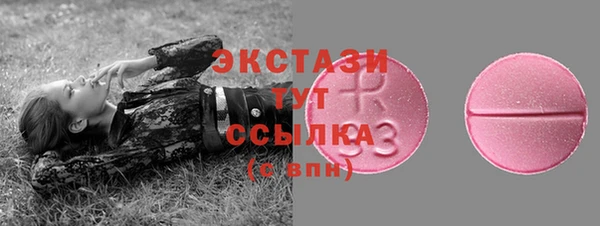 ГАЛЛЮЦИНОГЕННЫЕ ГРИБЫ Каменка