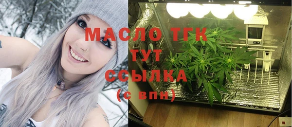 стафф Касимов