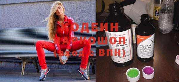 ГАЛЛЮЦИНОГЕННЫЕ ГРИБЫ Каменка