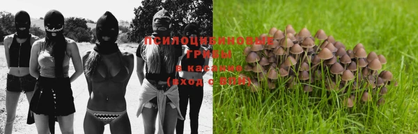 ГАЛЛЮЦИНОГЕННЫЕ ГРИБЫ Каменка