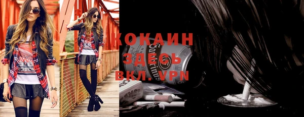 стафф Касимов