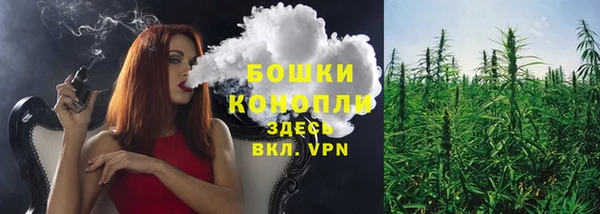 ГАЛЛЮЦИНОГЕННЫЕ ГРИБЫ Каменка