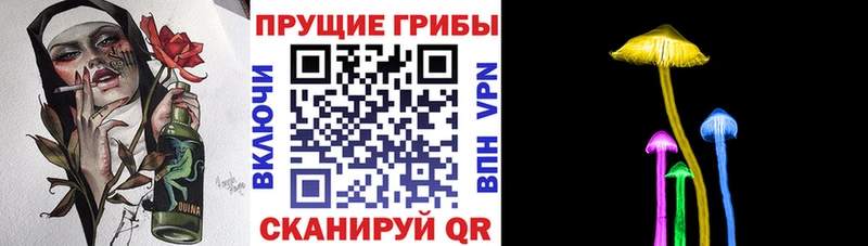 Купить закладки  Брянск  Галлюциногенные грибы мицелий 
