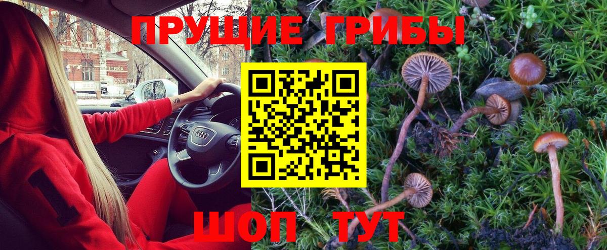 Галлюциногенные грибы GOLDEN TEACHER  купить   Брянск 