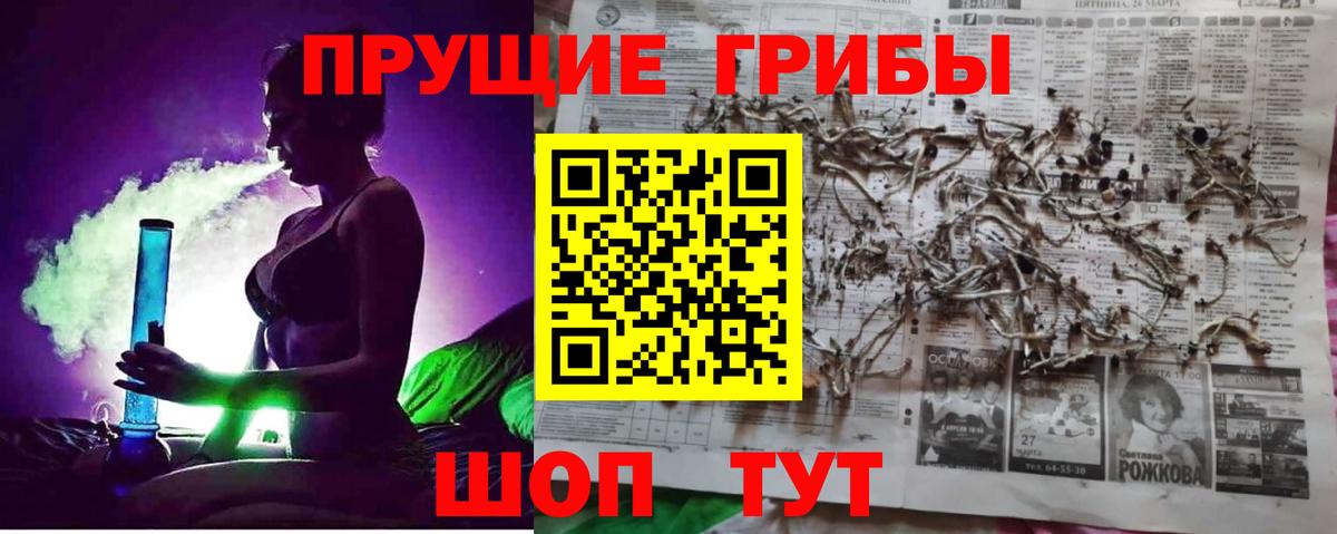 Галлюциногенные грибы Magic Shrooms Брянск