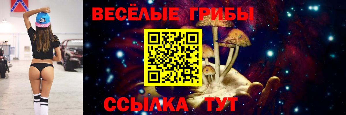 Галлюциногенные грибы MAGIC MUSHROOMS  Вход с VPN  Псилоцибиновые грибы ЛСД  Брянск 